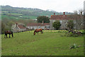 Membury: Yarty Farm