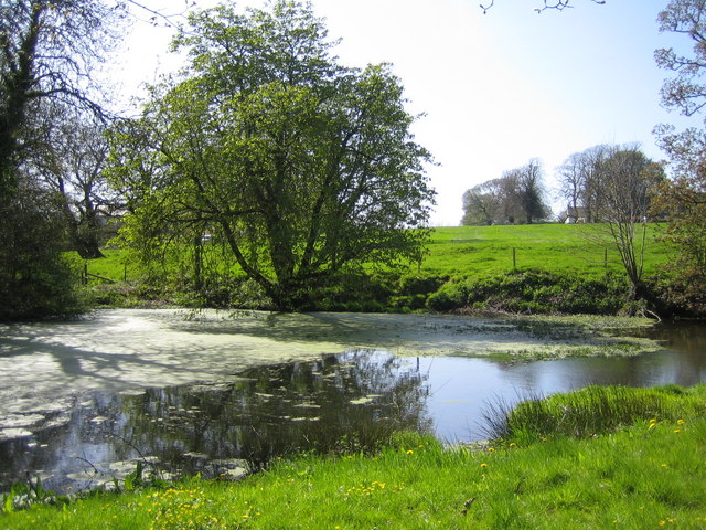 The Pond by Pond Farm