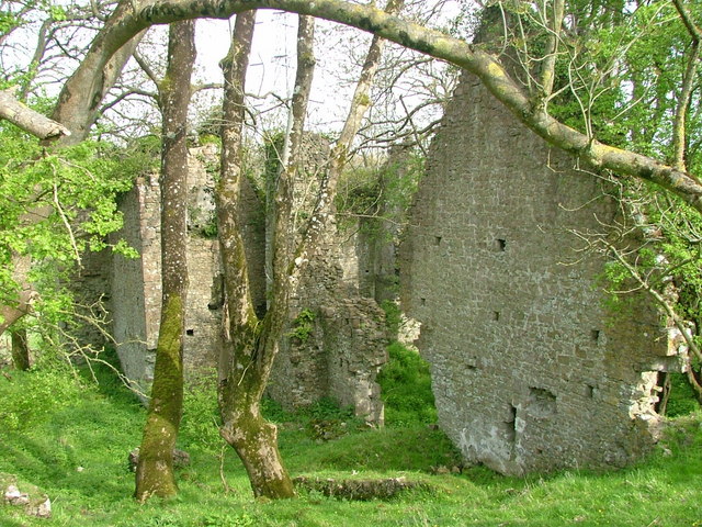 Ruins of East Orchard Castle