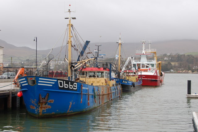 Mussel dredgers at Warrenpoint harbour