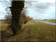 TF1707 : River Welland at edge of Deeping Lakes NR by Terry McKenna