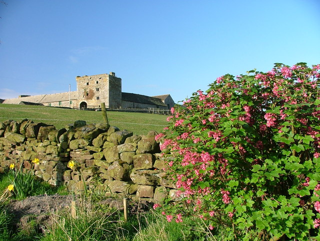 Another View of Willimoteswick Bastle