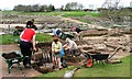 Archaeologists at Work in Vindolanda