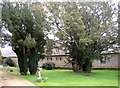 Churchyard, St Nicholas