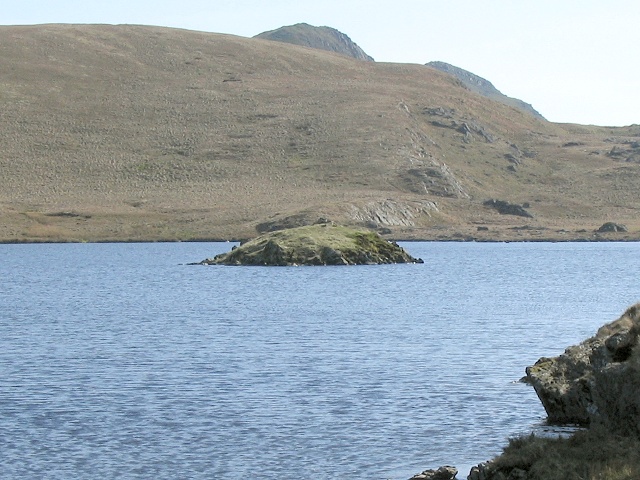 Island in Llyn yr Adar