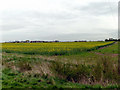 Looking towards South Killingholme