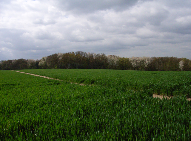 Farmland above Wooburn Green