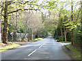 SU9286 : Heathfield Road by Andrew Smith