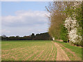 Farmland next to Dipple Wood