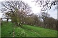 Bridleway south of Hergest Ridge