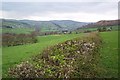 Bridleway from Upper Rabber towards Gladestry