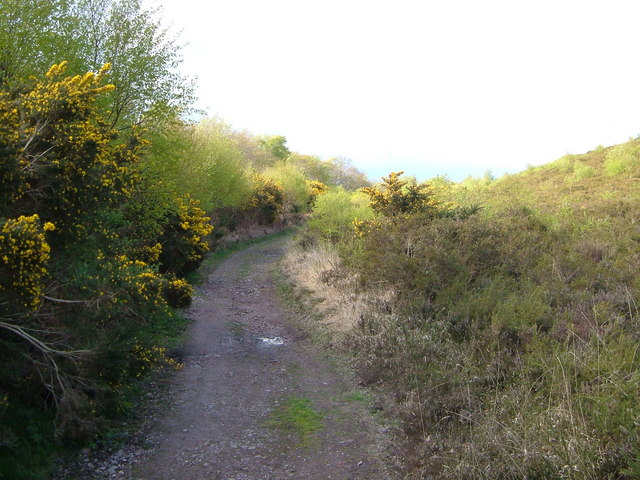 East Devon Way below Woodbury Common