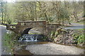 Bridge over the stream in Sunnyhurst Wood