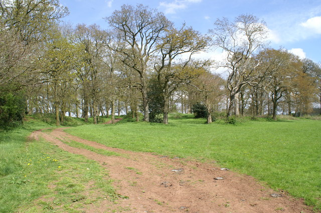 Track to Woods