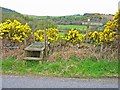 Stile on the Southern Upland Way