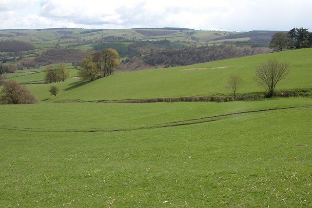 Farmland below Penarron