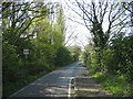 Bird Lane - Traffic Calming measures