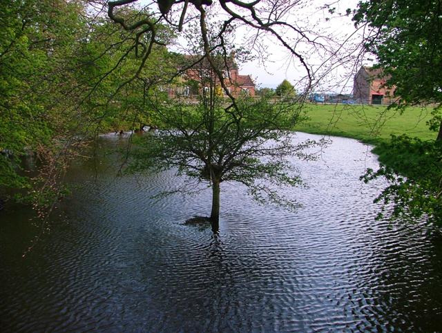 Pond, Middleton Grange Farm