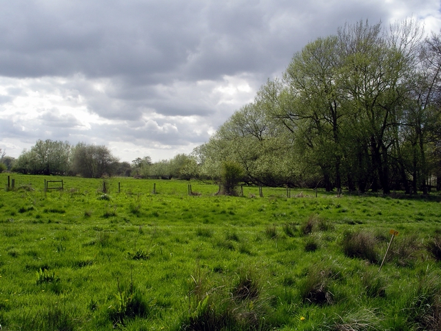 Western end of Bransbury Common
