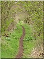 Footpath from Nemphlar