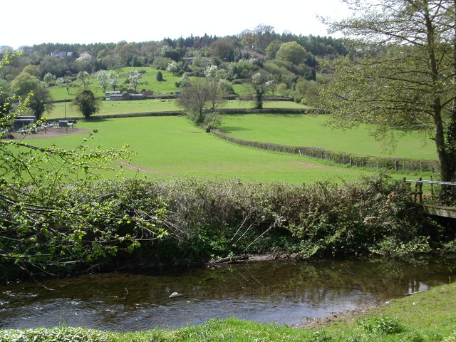 Farmland at the edge of the Forest of Dean