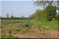 Farmland on Shuttleworth Lane near Cosby