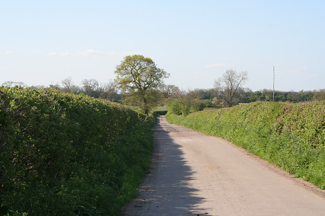 Whetstone Gorse Lane, near Countesthorpe, Leicestershire