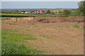 Farmland off Bambury Lane