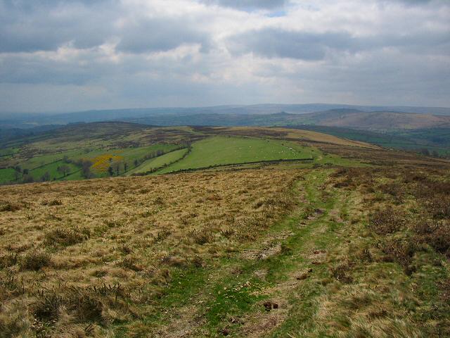 The southern part of Hameldown, Dartmoor