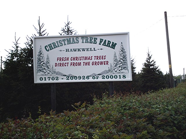 Christmas Tree Farm © John Myers :: Geograph Britain and Ireland