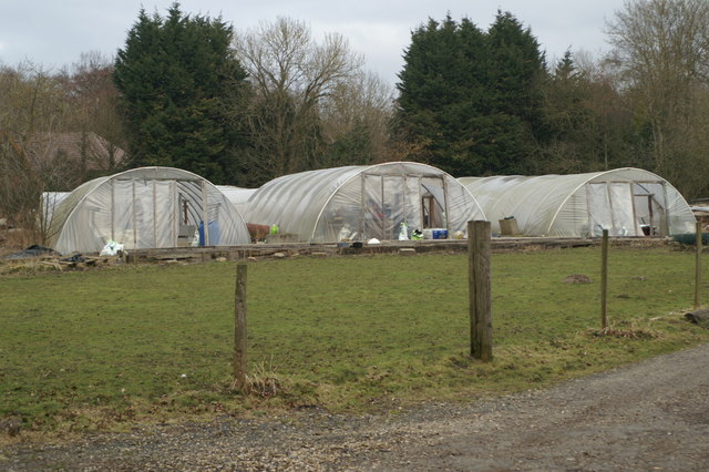 Polytunnels, Green Acres
