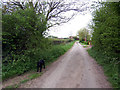 Scrub Lane, East Halton