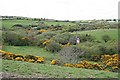 Valley near Treweege