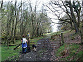 Footpath to Capel Garmon