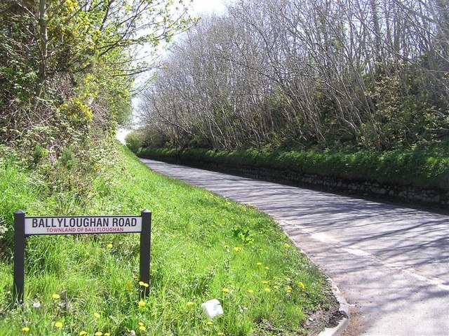 Ballyloughan Road