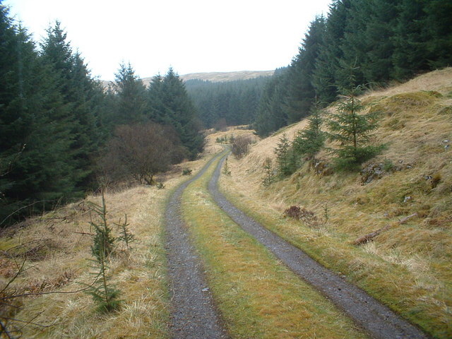 Forest road in Dungoil forest
