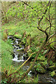 Martinhoe: stream near Kittitoe