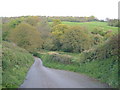 Kate Brook valley, Harcombe