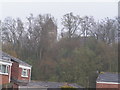 St Lukes church, through Shatters Wood