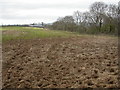 Muddy field at Lowtown