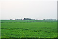 Farmland near Bingham