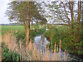 River Flit, Beadlow, Clophill, Beds