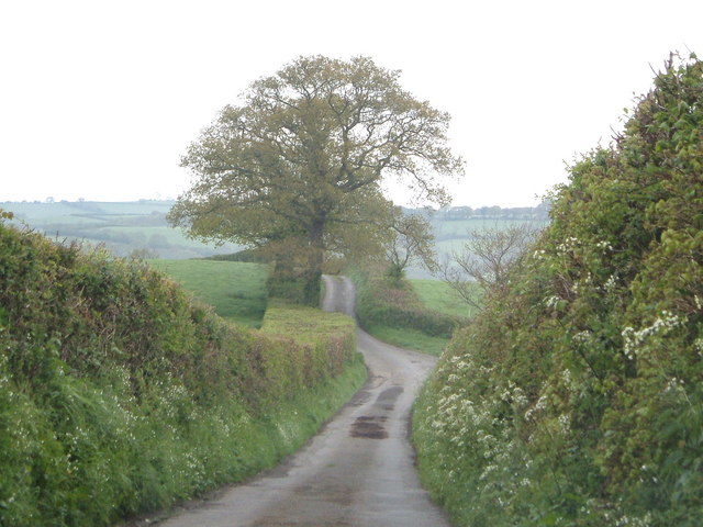 Lane to Ranscombe