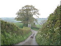 Lane to Ranscombe