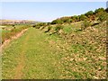 Footpath on old railway leading to High Moorsley quarry