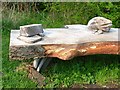 Detail of bench in Wynyard Woodland Park