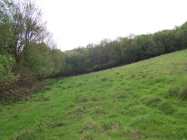 Whitehill Wood