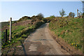 Country lane at Dun Cow