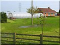 Polythene greenhouses, near Thorpe Thewles