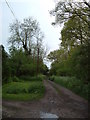 Cogdells Lane, Chartridge